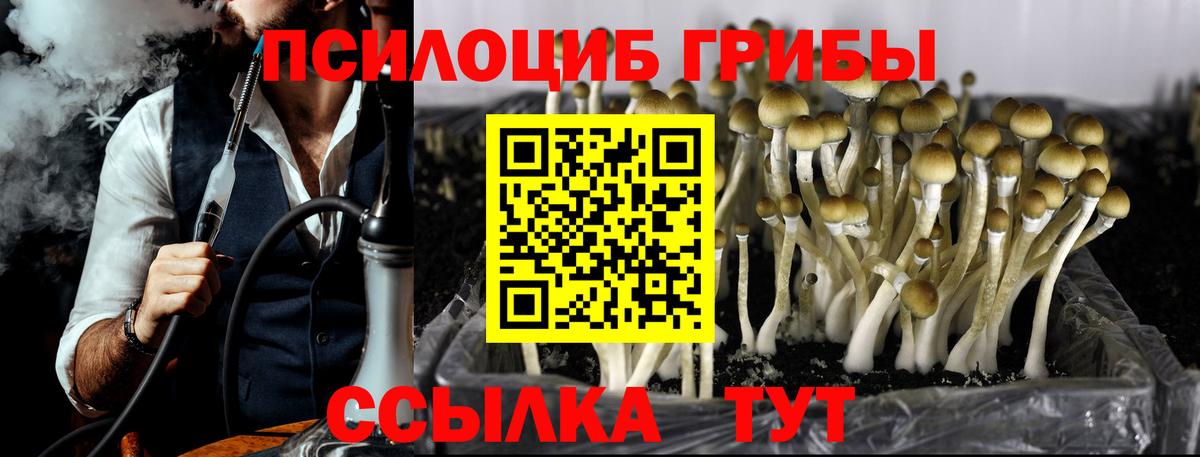 Моздок  Галлюциногенные грибы мицелий  Вход с VPN 